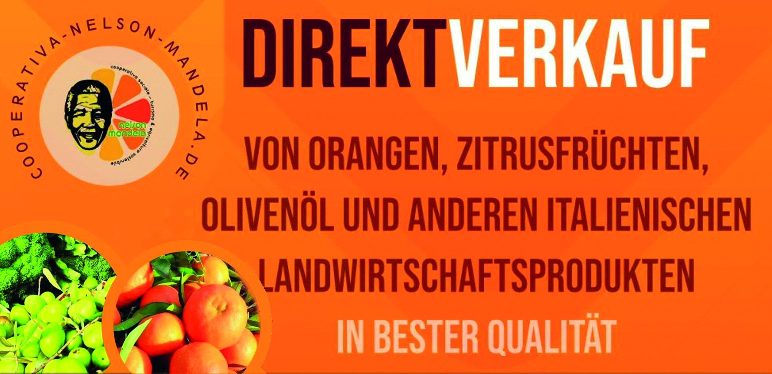 News Bild